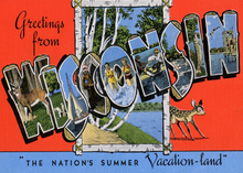 Load image into Gallery viewer, Lamp Shade "Wisconsinbly"